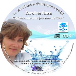 "Offrez-vous une journée de SPA" - CCF 2013 - CD 1